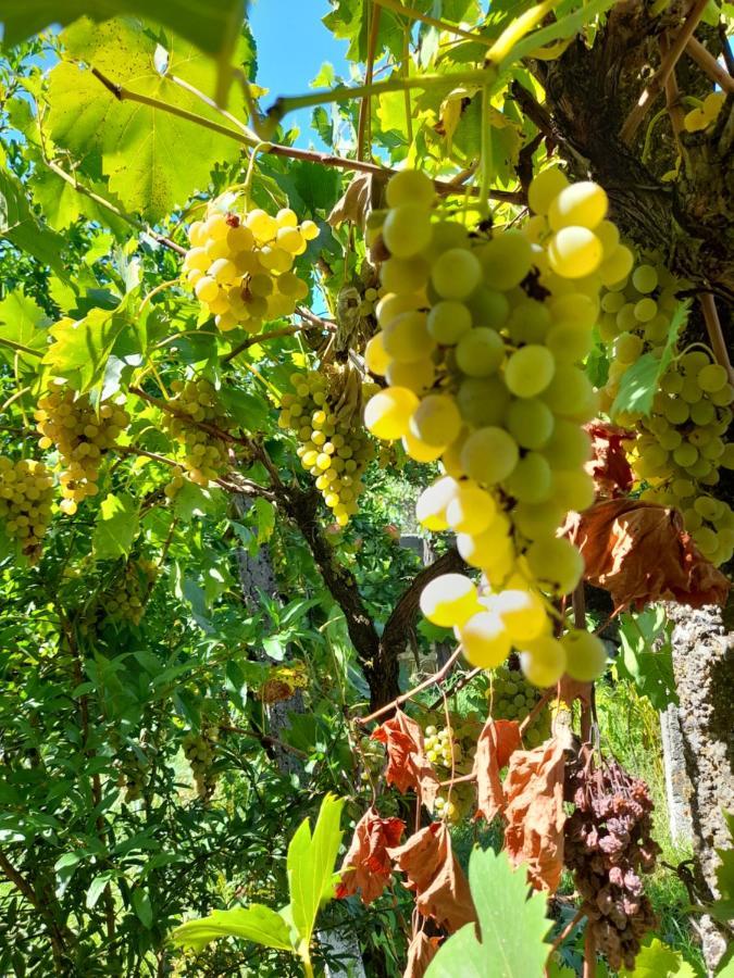 Chateau Sukaj Ljaknasi Εξωτερικό φωτογραφία