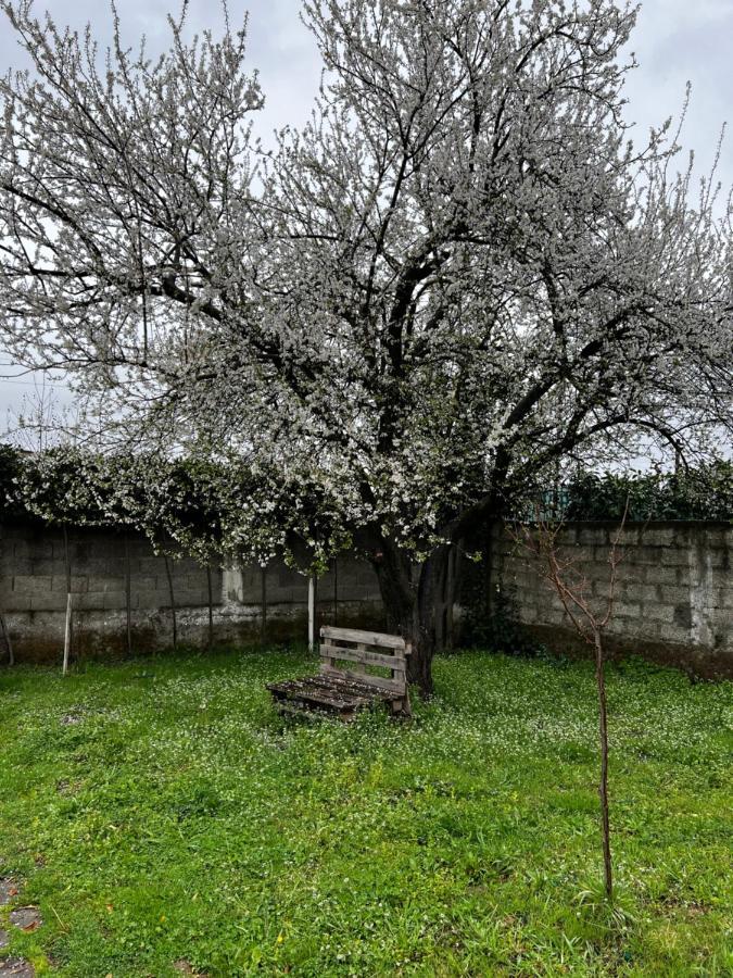 Chateau Sukaj Ljaknasi Εξωτερικό φωτογραφία